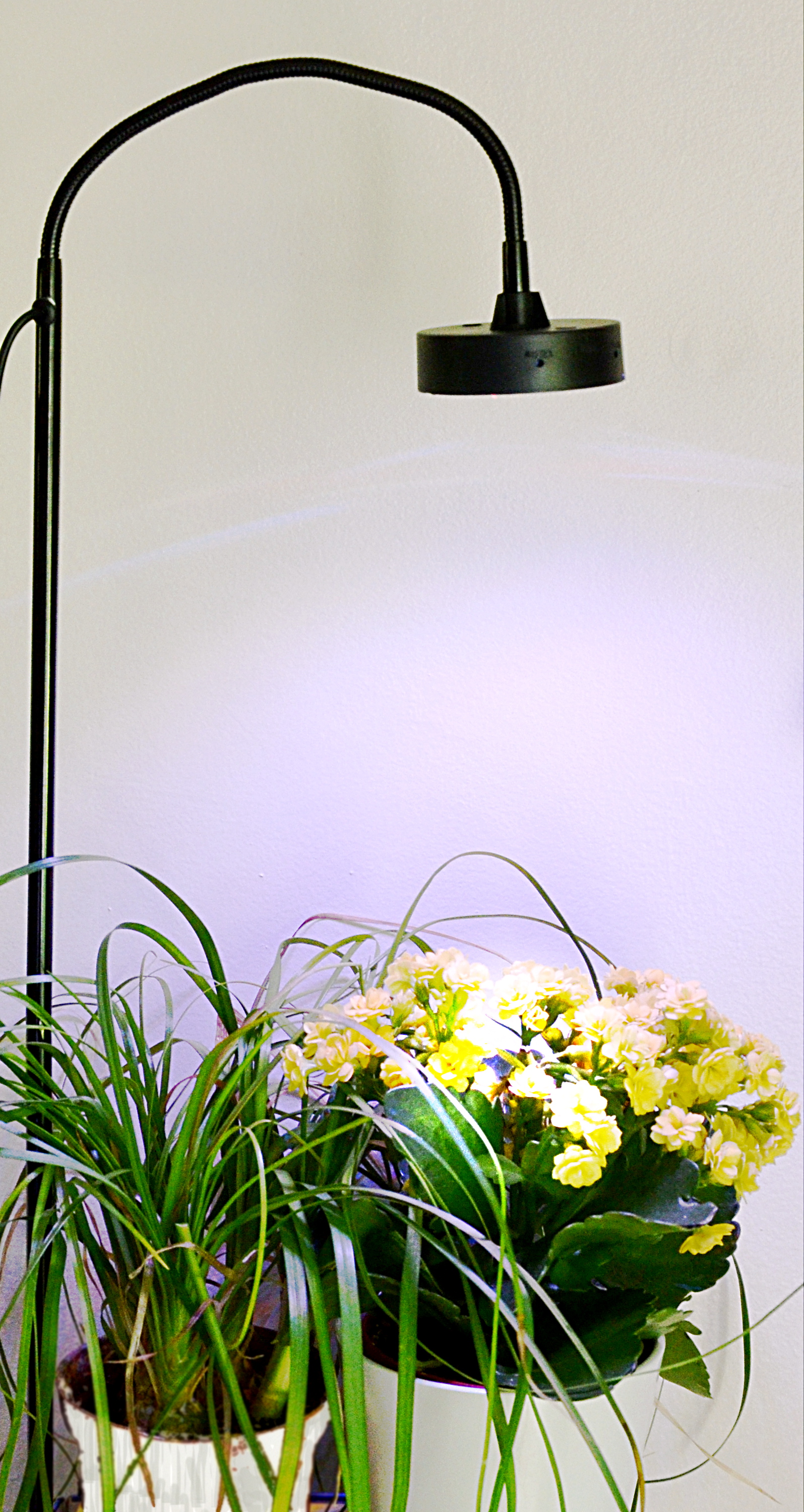 lampe pot de fleurs